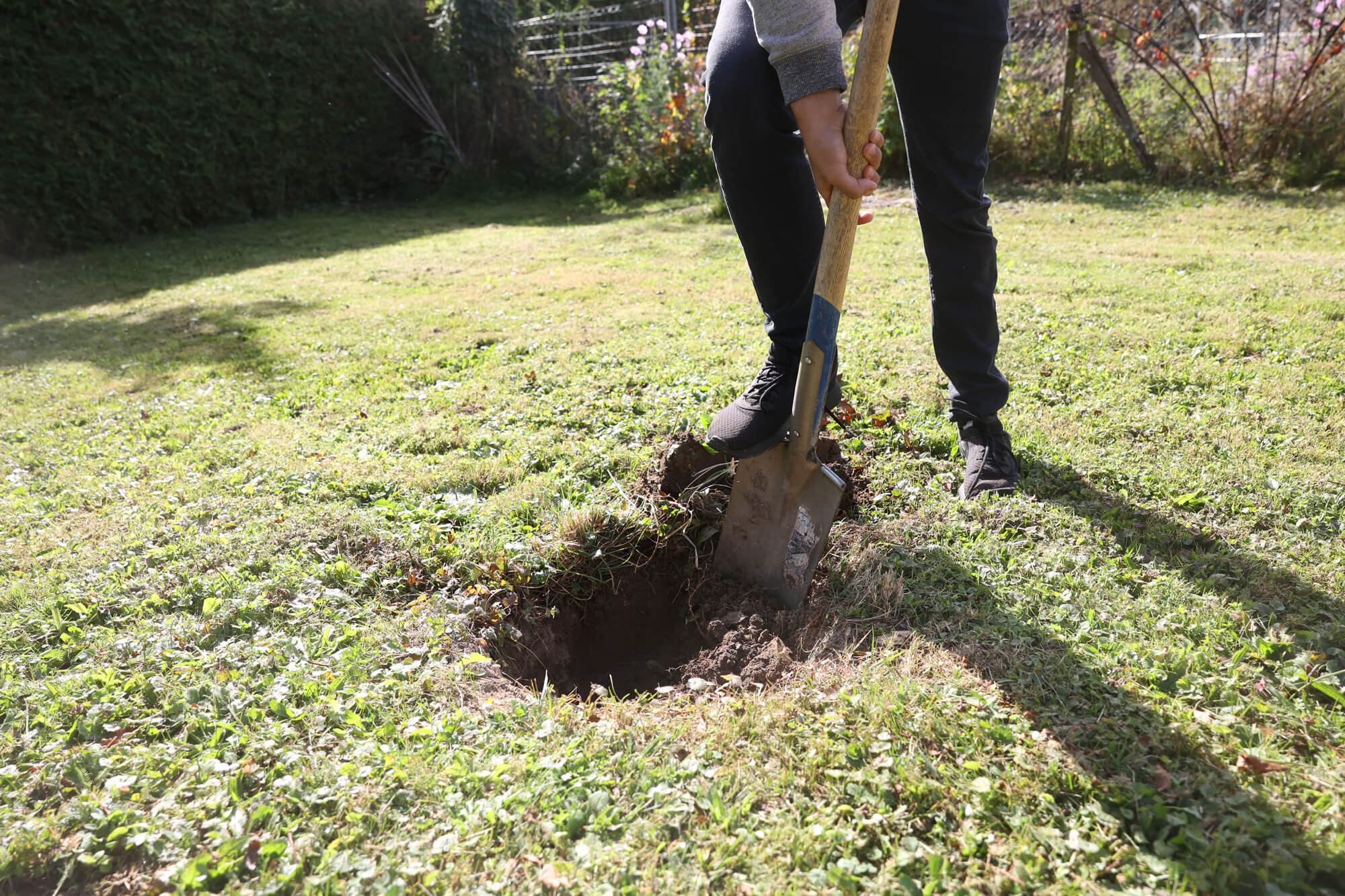 Tom le Jardinier creuse un trou