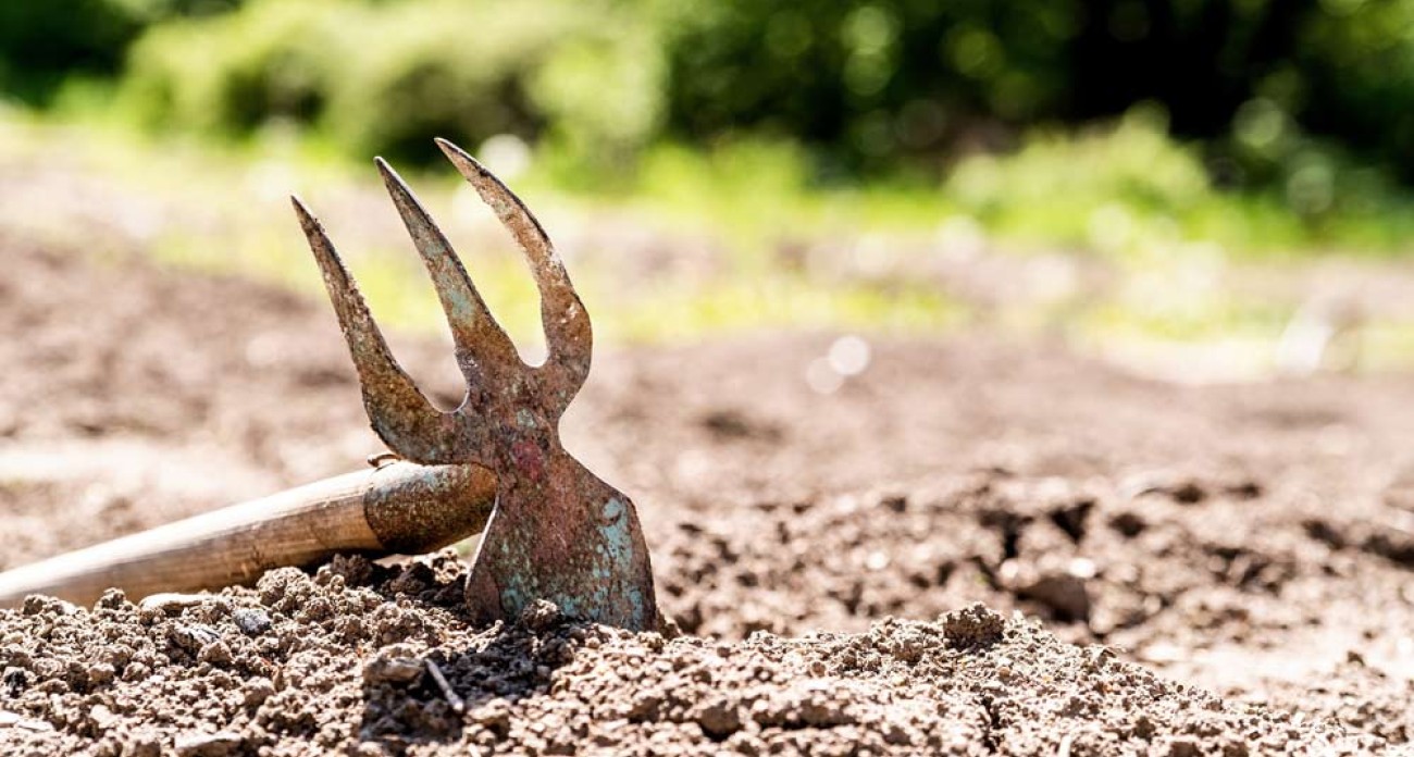 Comment améliorer le sol de votre potager ?