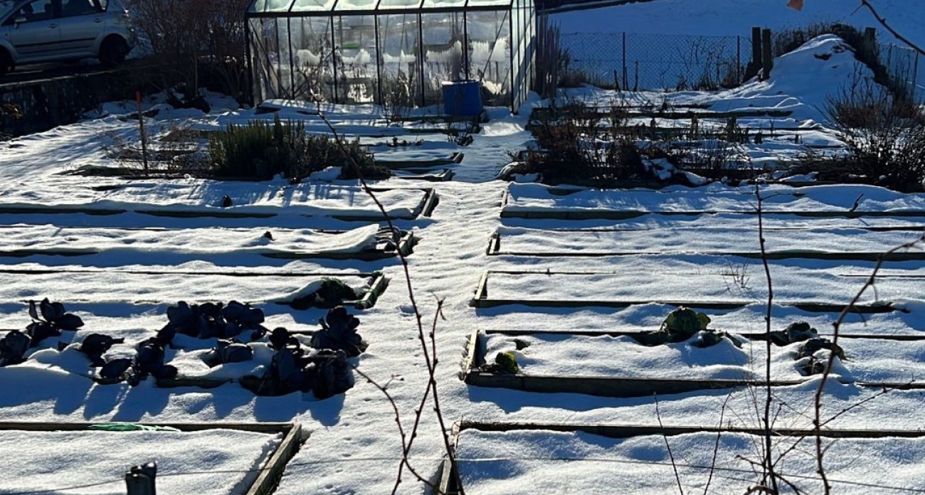 La neige et le froid au jardin