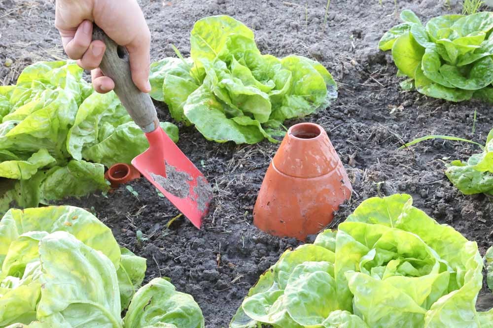 Installer un oya au potager