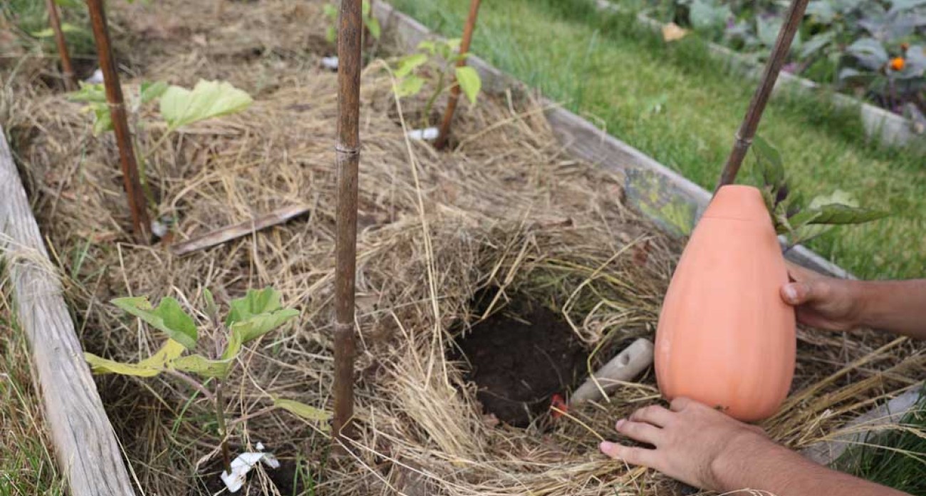 Installer des oyas au potager