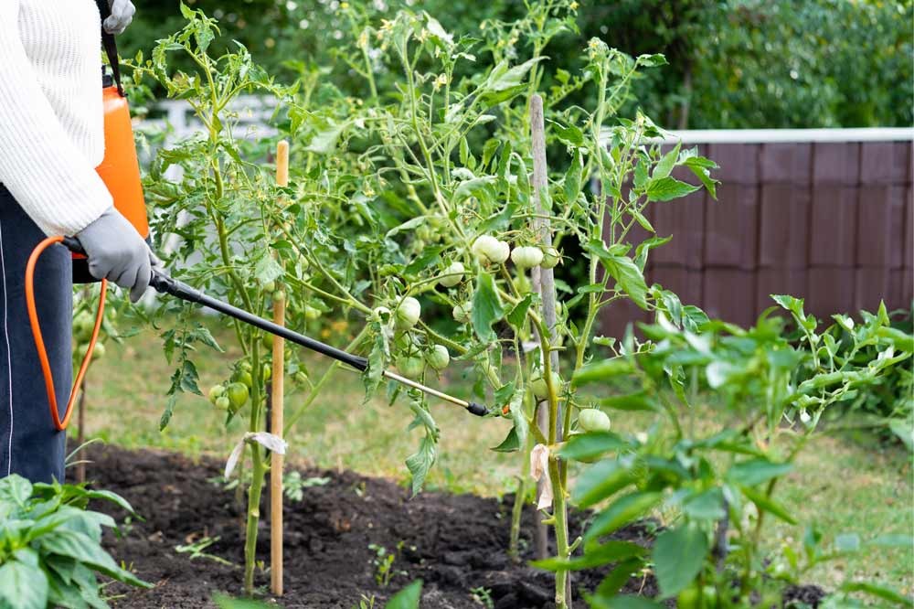 Soigner son jardin au naturel