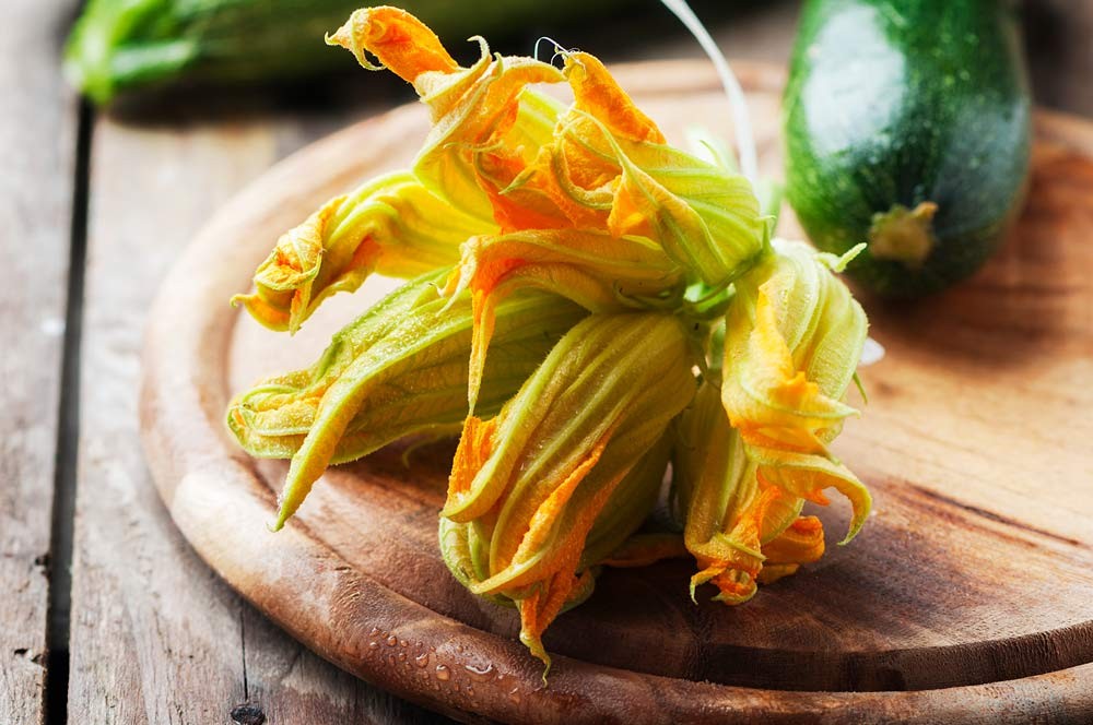 Conserver les fleurs de courgette