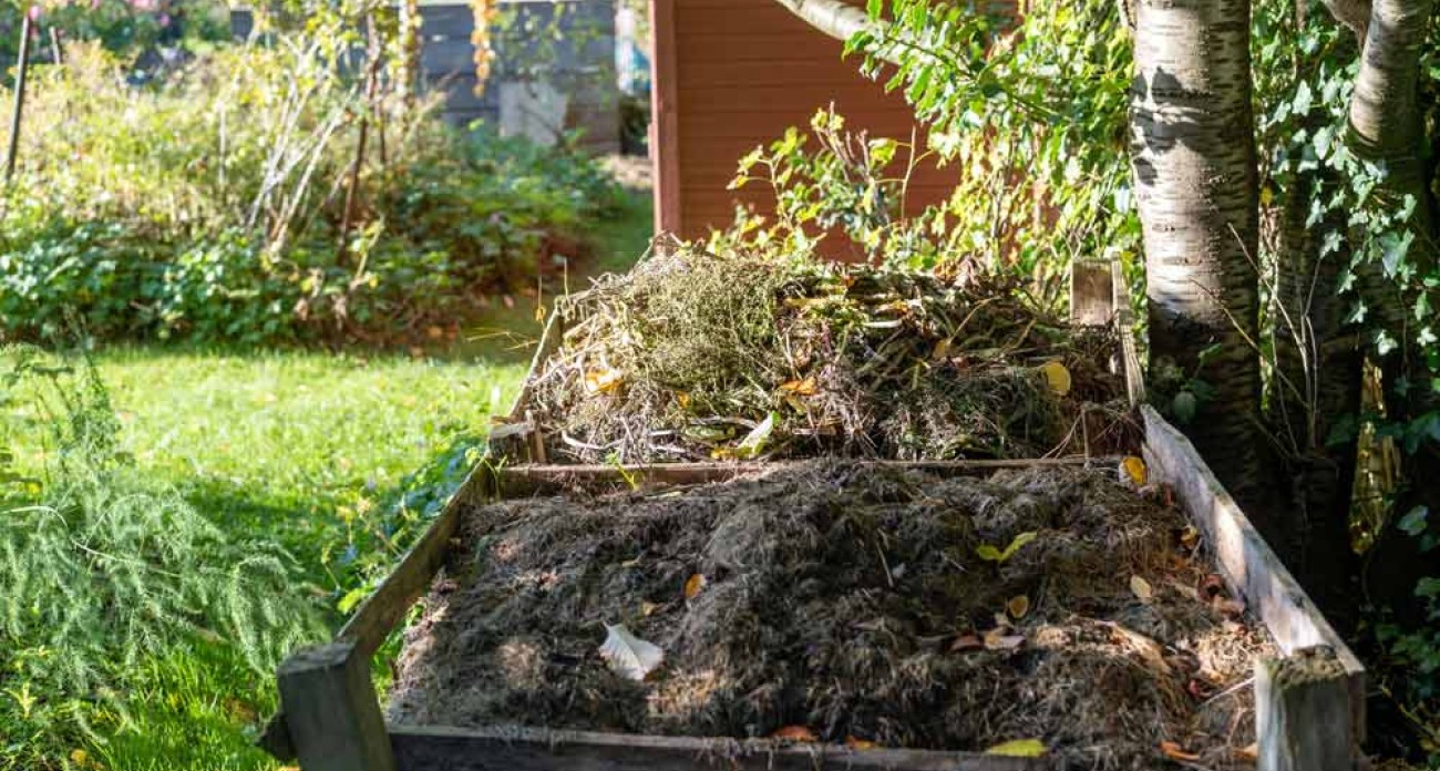 Ajouter de l'activateur au compost