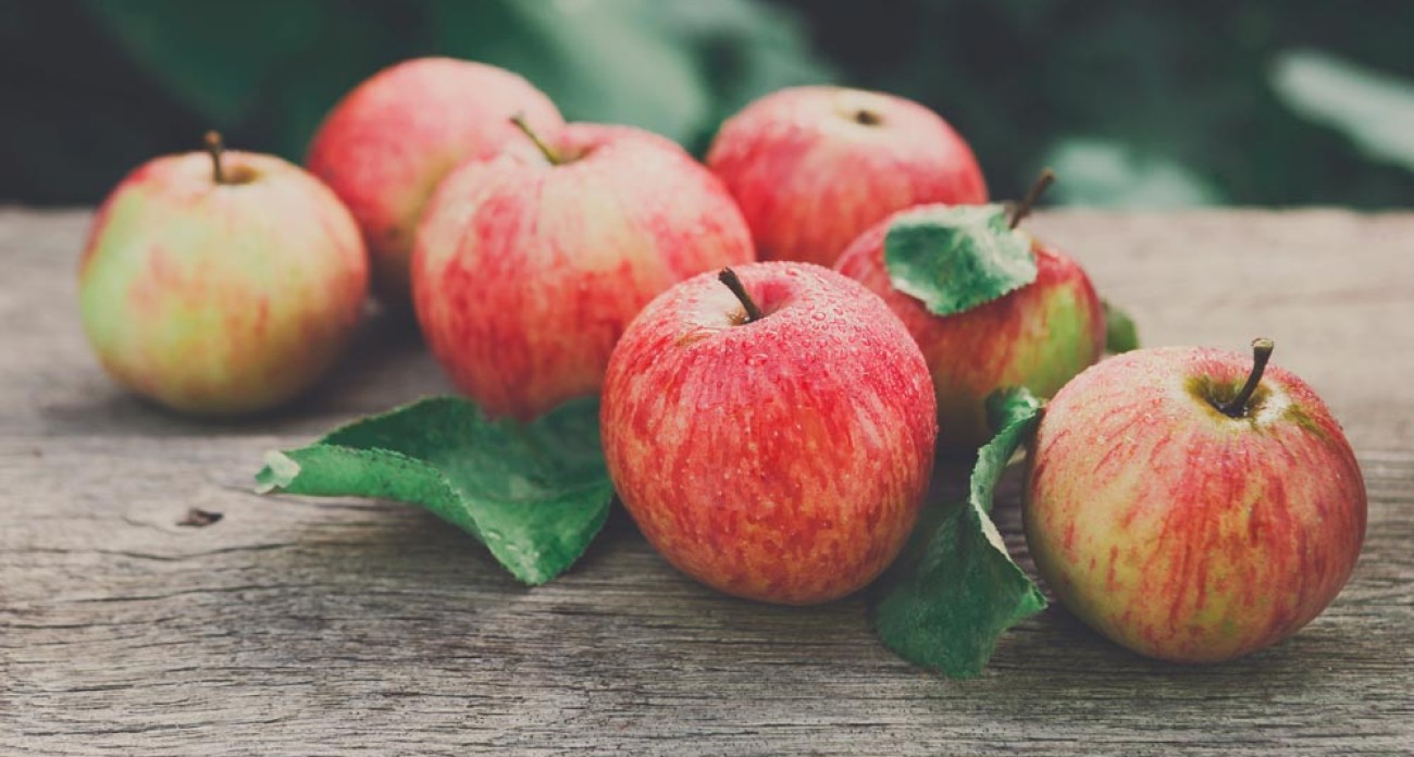 Récolter les pommes