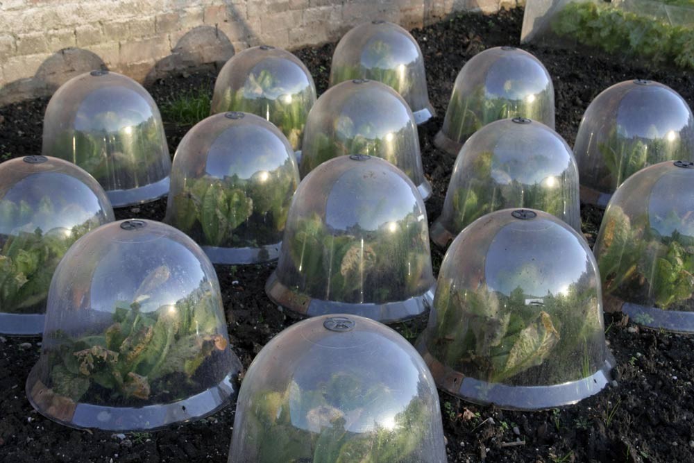 Utiliser des cloches