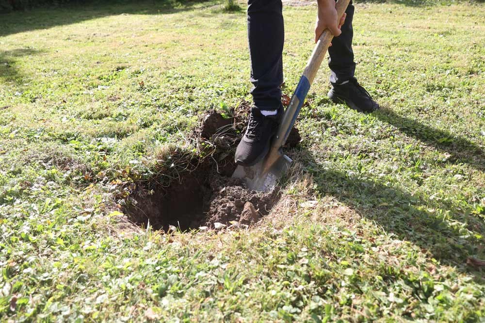 Creuser le trou de plantation