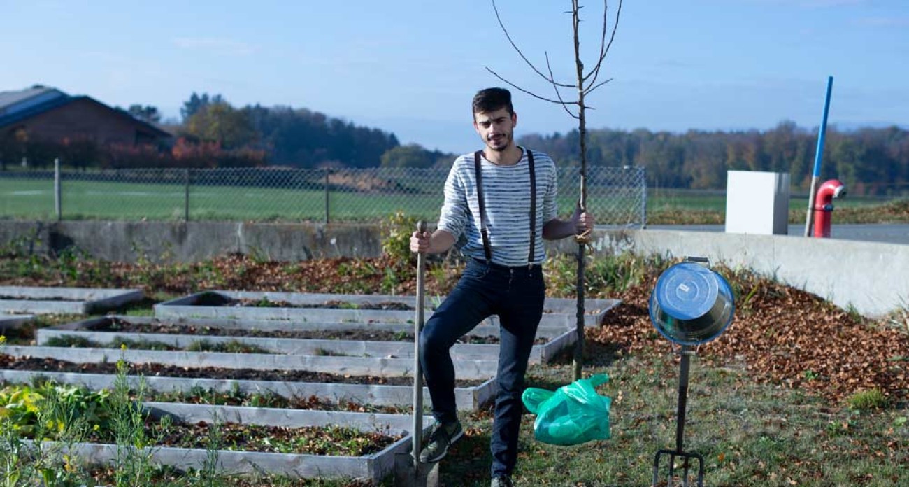 Planter un arbre fruitier